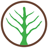 SolidTimber_v2